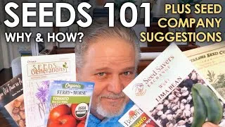 Thumbnail: Gardening from Seeds 101 - Why & How & Where to buy? || Black Gumbo
