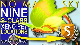Thumbnail: Nine FANTASTIC S-Class Xeno Pets - The Arena League - No Man's Sky Update - NMS Scottish Rod