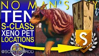 Thumbnail: Ten AMAZING S-Class Xeno Pets - The Arena League - No Man's Sky Update - NMS Scottish Rod