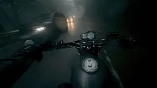 Thumbnail: Dark Forest in the Rain