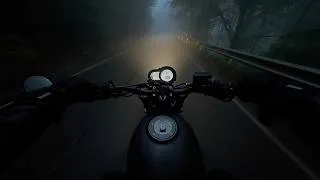 Thumbnail: Rain. Forest.