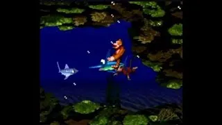 Thumbnail: Aquatic Ambiance 10 Hours - Donkey Kong Country (Reuploaded)