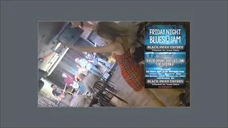 Thumbnail: I'm always the Black Swan at the Black Swan Tavern #toronto #danforth #blackswan #bluesfest #blues