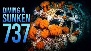 Thumbnail: 50 Minutes of Relaxing Underwater | Exploring Sunken Boeing 737 Artificial Reef | Vancouver Island