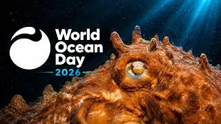 Thumbnail: World Ocean Day 2026 | Vancouver Island Beneath the Surface