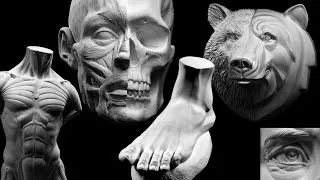 Thumbnail: Sculpting 3D Art Reference Models