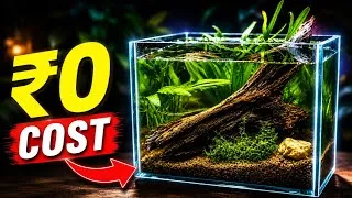 Thumbnail: ₹0 Cost Mini Planted Aquarium Setup 🌿