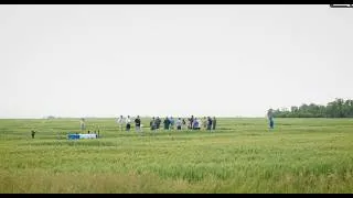 Thumbnail: 2026 CPT Spring Wheat: All Varieties