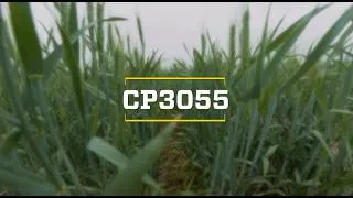 Thumbnail: 2026 CPT Spring Wheat: Croplan
