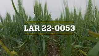Thumbnail: 2026 CPT Spring Wheat: LCS