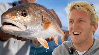Thumbnail: Cold Water Redfishing in the Gulf!