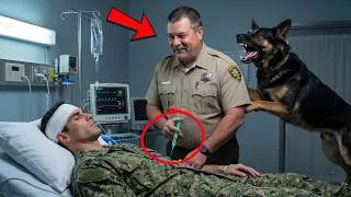 Thumbnail: Corrupt Cop Went to Hospital to Silence a Navy SEAL — Not Knowing His German Shepherd Was Waiting