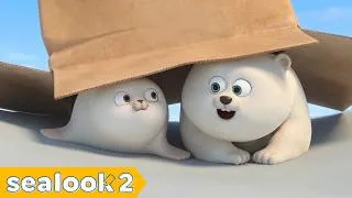 Thumbnail: [Monthly Best] Binge Watch NEW EPISODES👶 | 60 Minutes | SEALOOK Compilation