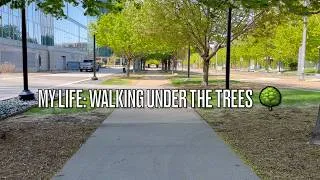 Thumbnail: My Life - Walking under the trees