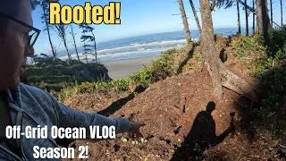 Thumbnail: Getting Rooted!