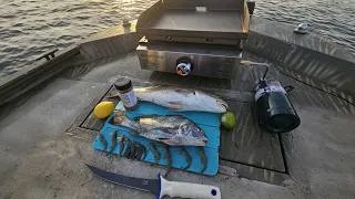 Thumbnail: Black & Red Drum Catch & Cook