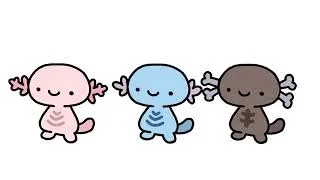 Thumbnail: Wooper walk [pokemon]