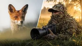 Thumbnail: I Finally Got This Close to a Wild Fox | POV Wildlife Photography