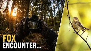 Thumbnail: POV Nature Photography | Spring Challenge