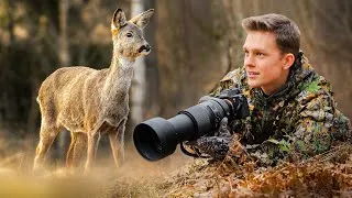 Thumbnail: Will the Deer Spot Me? | Wildlife Photography POV