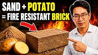 Thumbnail: Can a Potato Turn Sand Into a Brick? The Surprising Science