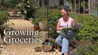 Thumbnail: Growing Our Food on Only 1/8 Acre