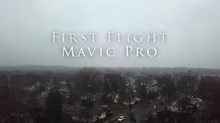 Thumbnail: First Flight Mavic01