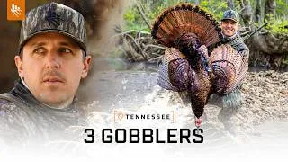 Thumbnail: Opening Week TRIPLE | Hunting Turkey MECCA