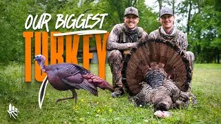 Thumbnail: OUR BIGGEST TURKEY EVER!!! Cast & Blast w/ Dustin Connell!!