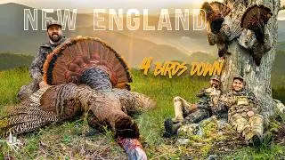 Thumbnail: 4 Turkeys Down!! HUNTING New England