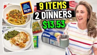 Thumbnail: I Tried My Old $10 Aldi Budget Meal Challenge in 2026 | 2 Family Meals