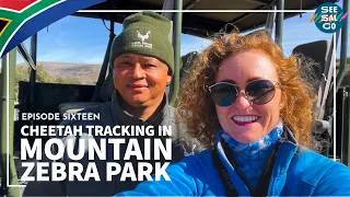 Thumbnail: Mountain Zebra National Park [🇿🇦S1:Ep16]