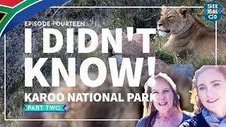 Thumbnail: Karoo National Park (PART TWO) [🇿🇦S1:Ep14]