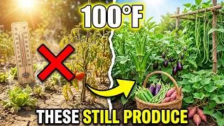 Thumbnail: Vegetables That Still Produce in 100°F Heat