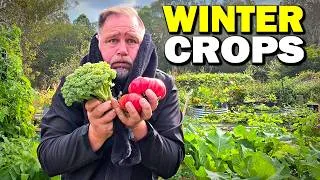 Thumbnail: Why Winter is the BEST Time to Grow Vegetables