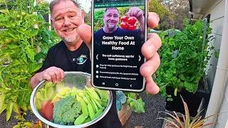 Thumbnail: I Put Everything I Know About Growing Food Into This App