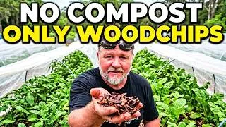Thumbnail: This Garden Was Saved By Woodchips (No Compost Needed)
