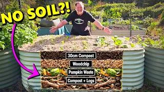 Thumbnail: I Filled This Raised Garden Bed With NO SOIL… 2 Years Later