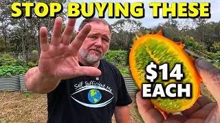 Thumbnail: 5 Expensive Crops I’m Growing EASILY & for Free Right Now