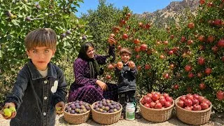 Thumbnail: Selin’s Nomadic Life | Organic Pomegranate 🍎 & Fig 🫐 Harvest in the Heart of the Zagros Mountains 🏔️