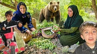 Thumbnail: 🌰🏔️ Organic Walnut Harvest in the Wild Mountains 🐻| Authentic Nomadic Life of Selin.