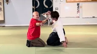 Thumbnail: Aikido: A Kinesiological/Tactical/Energetic Breakdown of Shomenuchi Ikkyo Omote