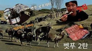 Thumbnail: 벳푸 아프리칸 사파리 로프웨이 맛집 코스 2탄~ #아프리칸사파리 #벳푸동물원 #벳푸여행 #아기랑일본여행 #벳푸로프웨이 #벳푸아프리칸사파리 #벳푸숙소 #아기랑일본브이로그 #야키니쿠