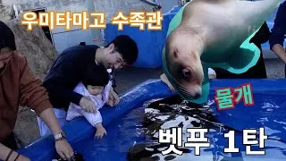 Thumbnail: 벳푸 우미타마고 수족관 다녀왔어요~ 아기랑 가는 최대한 편한 여행 #아기랑일본여행 #일본여행브이로그 #아마네리조트 #일본브이로그 #벳푸숙소 #일본렌트카