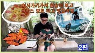 Thumbnail: 이시가키 2편 야이마무라 원숭이 보러~ 그리고 카비라만 클라스보트 타고 왔어요~ #그랜드브리오리조트 #야이마무라 #카비라만 #BeefMARU #Italico #이시가키여행