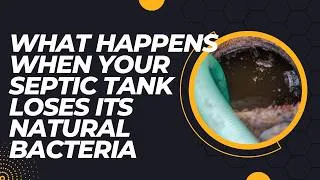 Thumbnail: What Happens When Your Septic Tank Loses Its Natural Bacteria