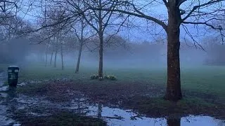 Thumbnail: lost pets are found & returned safely subliminal