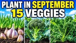 Thumbnail: 15 Vegetables You Should Plant in September Immediately!
