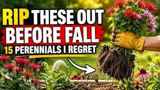 Thumbnail: Don't Make My Mistake: 15 Perennials I REGRET Planting - Rip Them Out Before Fall