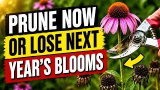 Thumbnail: August Is Your Last Chance To Prune These 5 Plants Before It's Too Late For Next Year